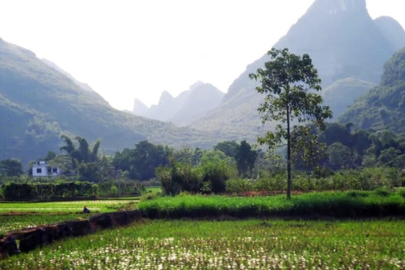 chinese_landscape