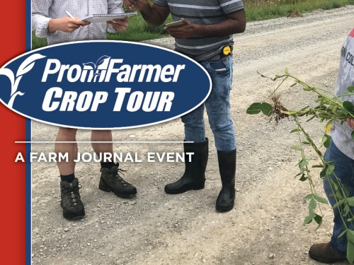 In an effort to head-off some of the questions about Crop Tour sampling, here’s our answers to a few “Crop Tour FAQs!”