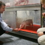 Ryan Dilger and Joanne Fil with Pig at University of Illinois