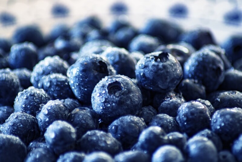 Blueberries By Comfreak  Source pixabay