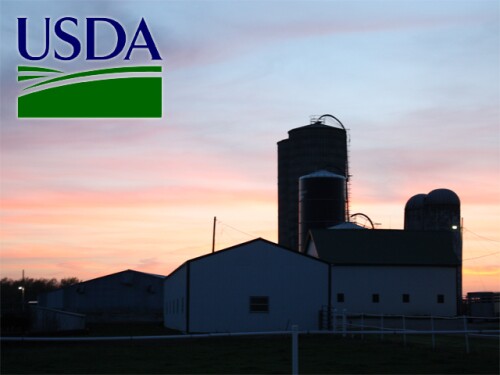 USDA-grain-bins-sunset.jpg