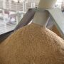 Feed in pig feeder
