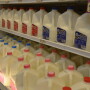 Lack of Pacific trade deal will hurt U.S. dairy sales.