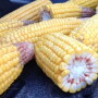 MN_corn