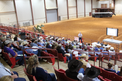 Stockmanship & Stewardship training