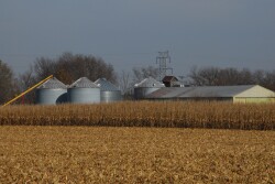 Old crop corn stocks on hand as of Sept. 1, 2020 totaled 2 billion bushels, down 10% from 2019. Old crop soybeans stored in all positions were down 42% from 2019.