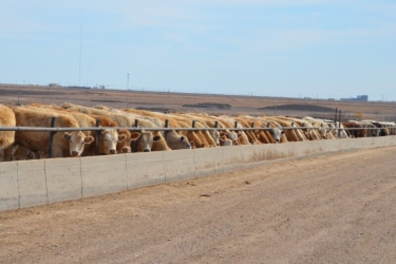 BT_Rotator_Feedlot_Bunk_7