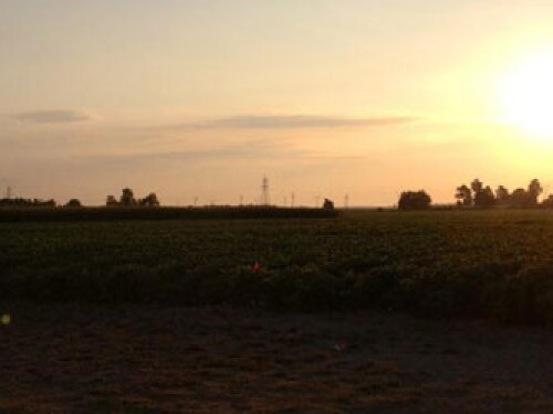 The dynamics of 2022 are shaping up to make this year a pivot point for ag retail says Brett Bruggeman, president of WinField United. 