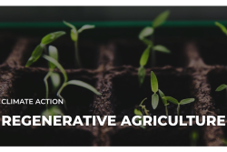 regen ag Earth Day WEB.png