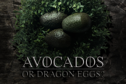 A98C14B4-B7BE-48E1-8CC0CDBC4768B552.png