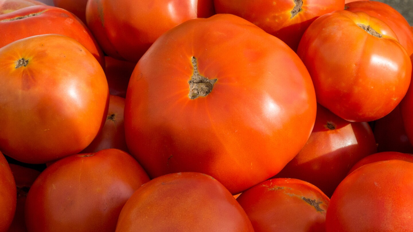 USDA%20TOMATOES%202023%202.jpg
