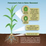 Potassium drives water movement,  distributing nutrients where they’re needed and keeping the plant inflated and cool. It then regulates water loss by opening and closing stomata on leaves.