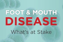Current vaccine supplies for foot and mouth disease are expired, leaving the health and safety of U.S. livestock at risk