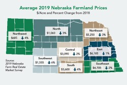 The market value for farmland in the Cornhusker state dropped again in 2019. The average per-acre value is $2,650, a 3% drop from 2018.