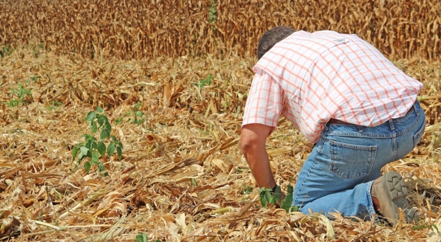 KNEELING%20IN%20CORN.jpg