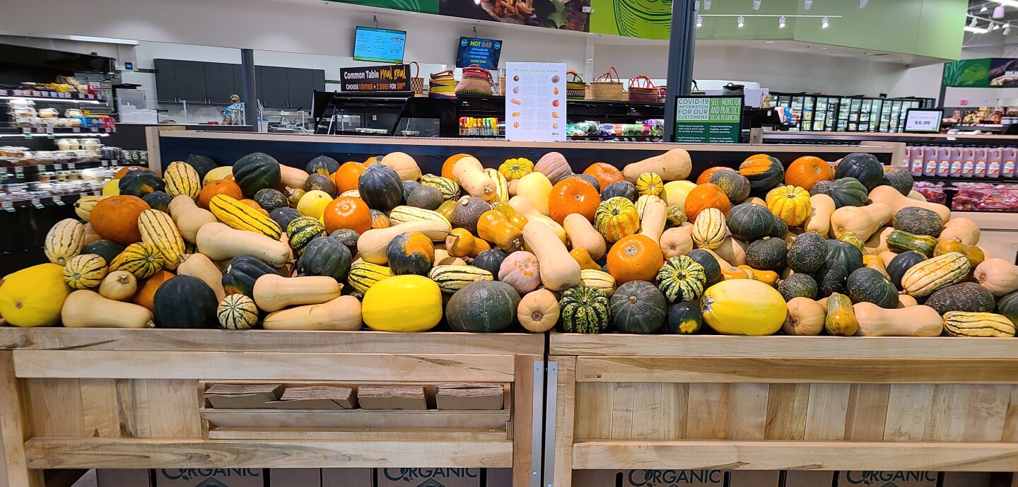 Hard%20Squash%20Display.jpg