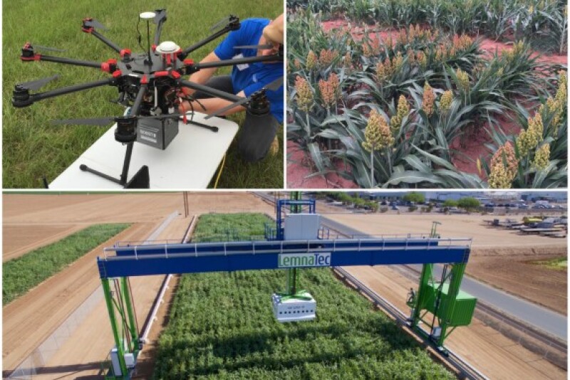 Trials get the high tech treatment with the world’s largest robotic field scanner is operational at the University of Arizona's Maricopa Agricultural Center (MAC).