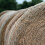 Hay bales