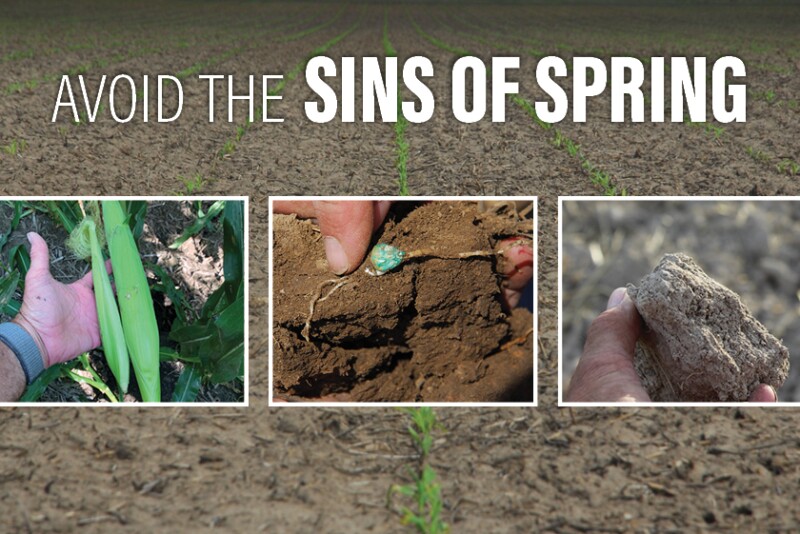 Sins of Spring