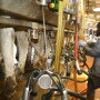 Milking_parlor