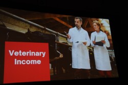 veterinary income.jpg