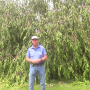 John Phipps - tree