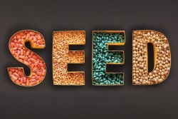 Seed