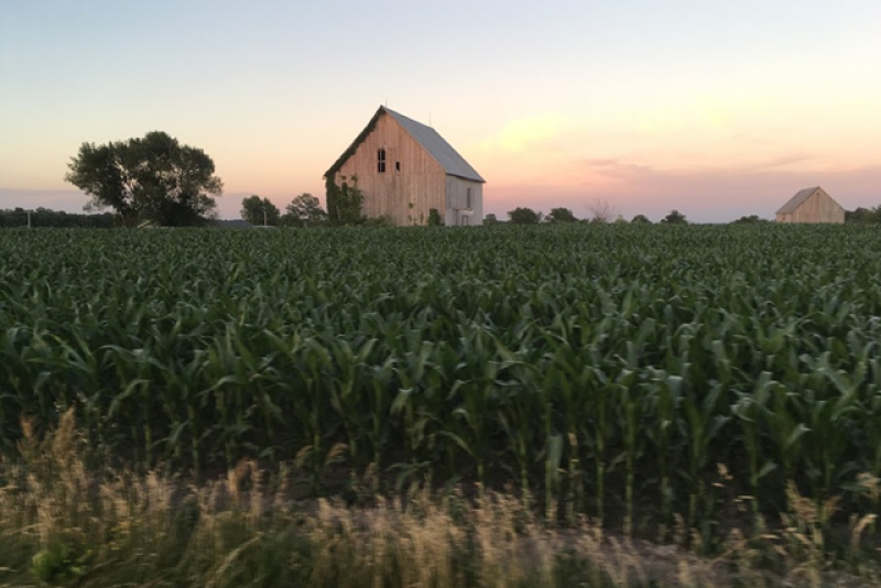 farm
