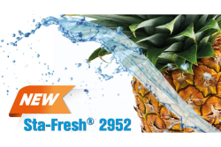 sta fresh pineapple