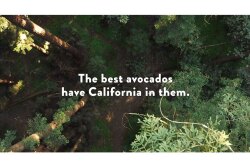 CAC-Recipe-Video---Redwoods.jpg
