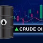 “I do think that we’re going to see we have reached peak inflation once it shows up in the data in coming months, which will stop any dramatic push on price controls,” Wiesemeyer says.