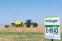 tractor seedsign