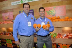 Darren Filkins, CEO of AC Operations, Bakersfield, Calif., and Tom Ryan, business development for Suntreat, a  division of AC Foods, show off Sumo citrus grown in Australia at Fresh Sumit.
