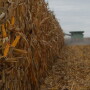 2019 proved no matter what obstacles Mother Nature throws at farmers, a bountiful crop is possible. Analysts say that could make it even more difficult for the market to produce a weather rally in the future. 