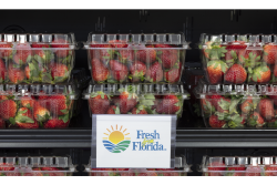 fresh from florida strawberries