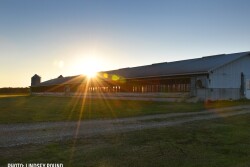 hog barn feed sunset - Lindsey Pound