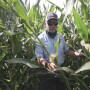 Ernie Sanders in cornfield.jpg