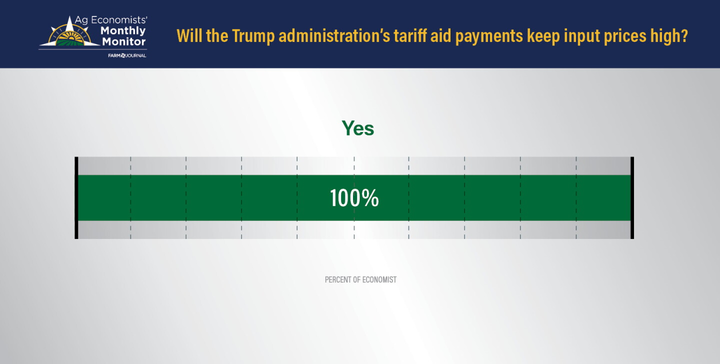 USDA Signals Possible Trade Aid Soon, Economists Warn It Could Keep ...