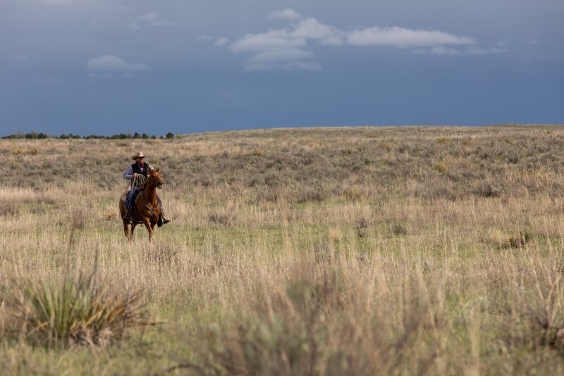 Noble Ranch