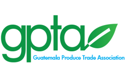 The Guatemala Produce Trade Association is promoting the expertise of its members.