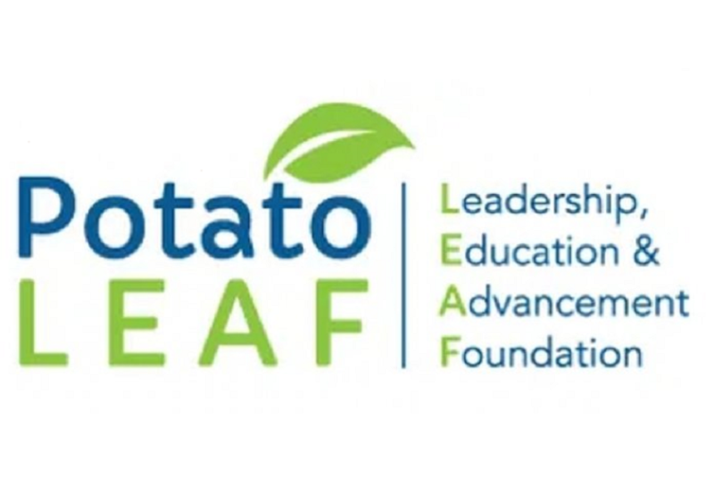 Potato Leaf