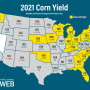 2021 Corn Yields