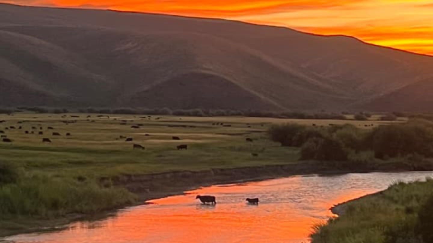 Rural Bankers Urge More Support for Farmers