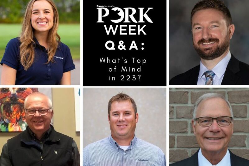 Veterinarians PORK Week 2023