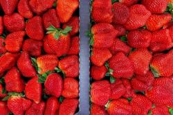 Gem-Pack Berries