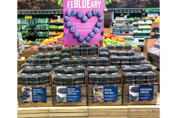 Chilean blueberry display.png