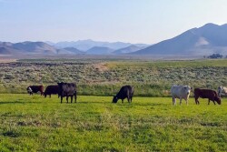 Huff Creek Ranch