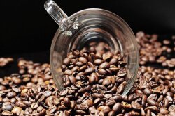 Coffee Beans.jpg