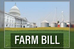 Farm bill - capitol - grain system - soybean field - corn field - By Lindsey Pound