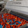Tomra-tomatoes.jpg
